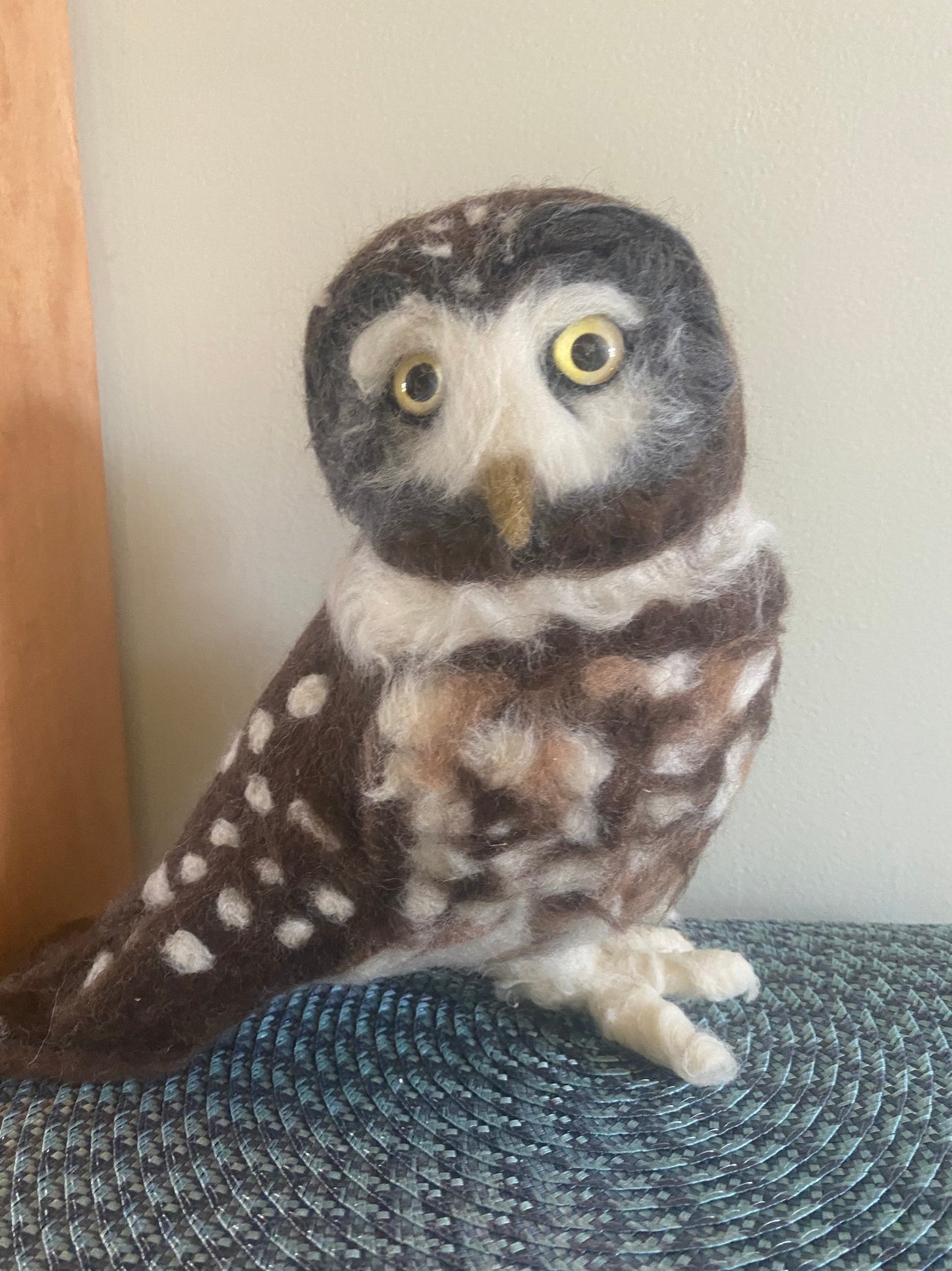 Felted Barred Owl