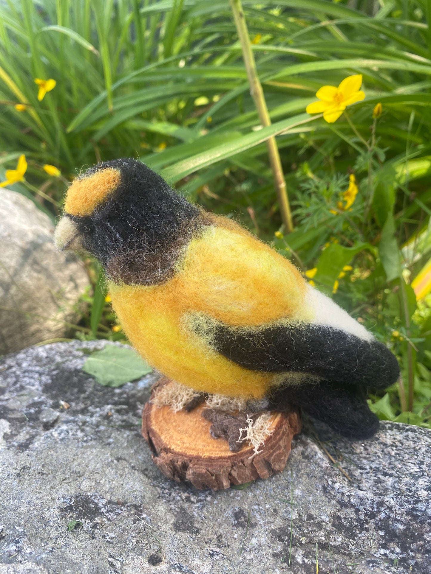 Needle Felted Evening Grosbeak